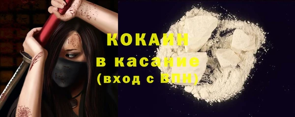 шишки Баксан