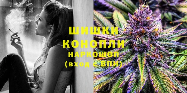 шишки Баксан