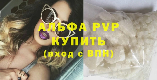 шишки Баксан