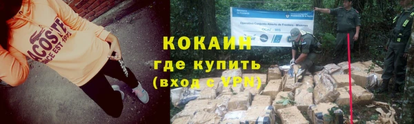шишки Баксан