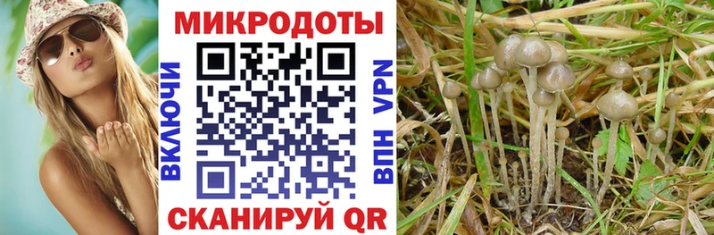 Купить закладки  Западная Двина  Галлюциногенные грибы мухоморы 