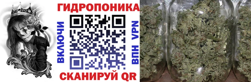 Купить закладки  Западная Двина  МАРИХУАНА тримм 